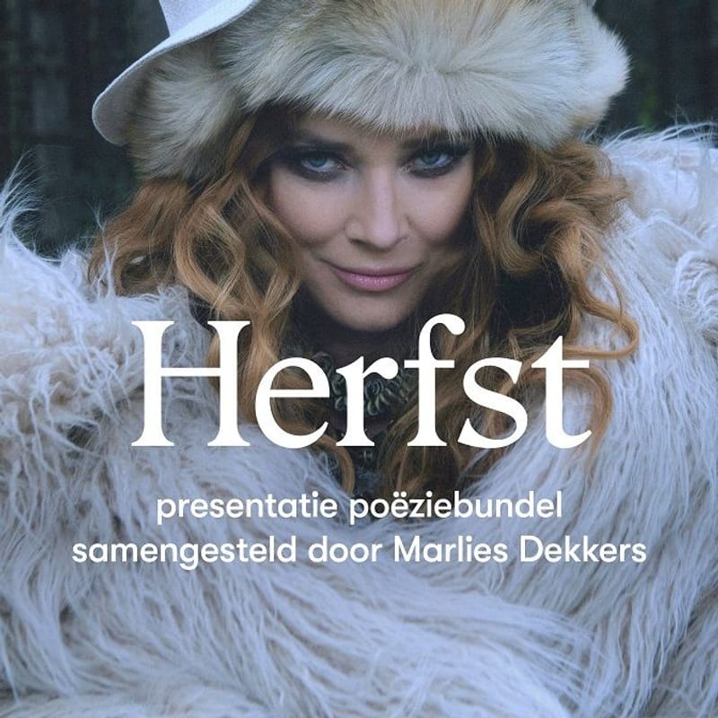 Merlis dekke2