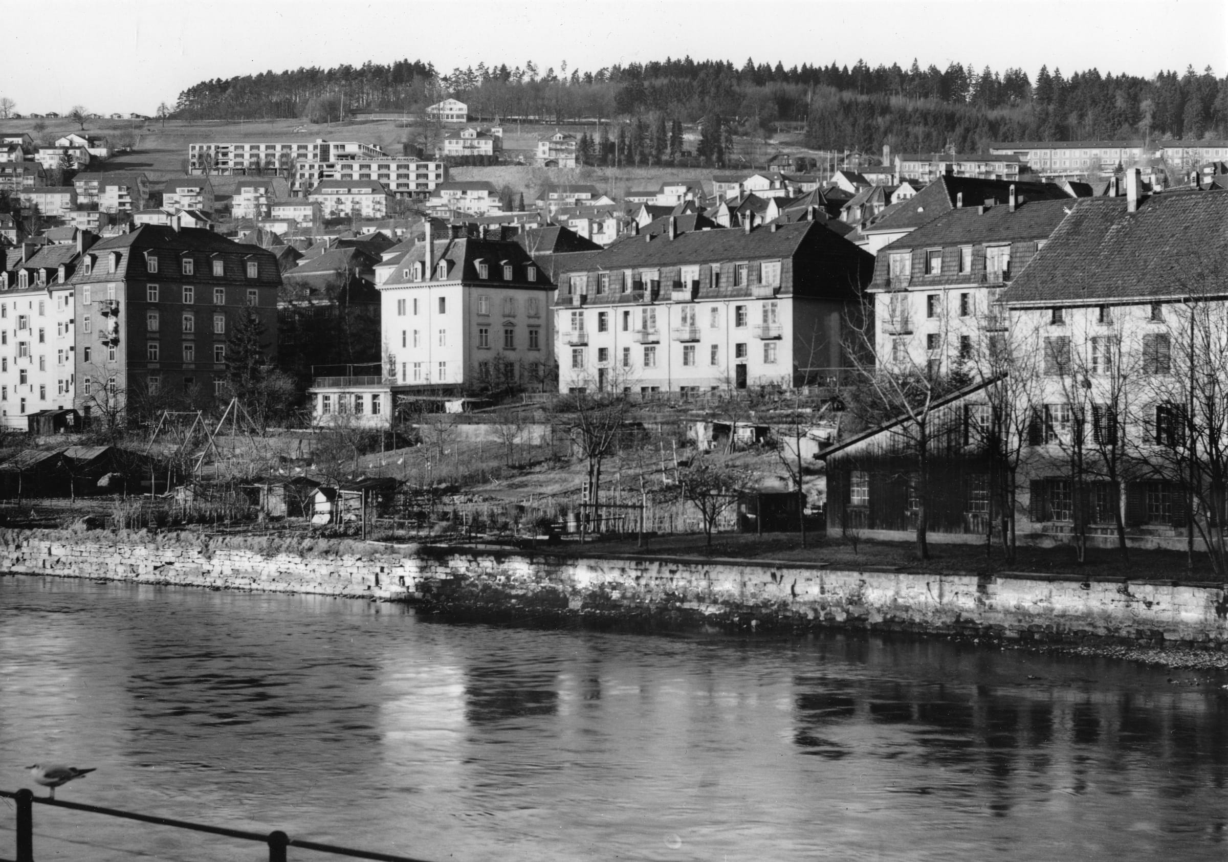 Breitensteinstrasse zuerich anonym baz