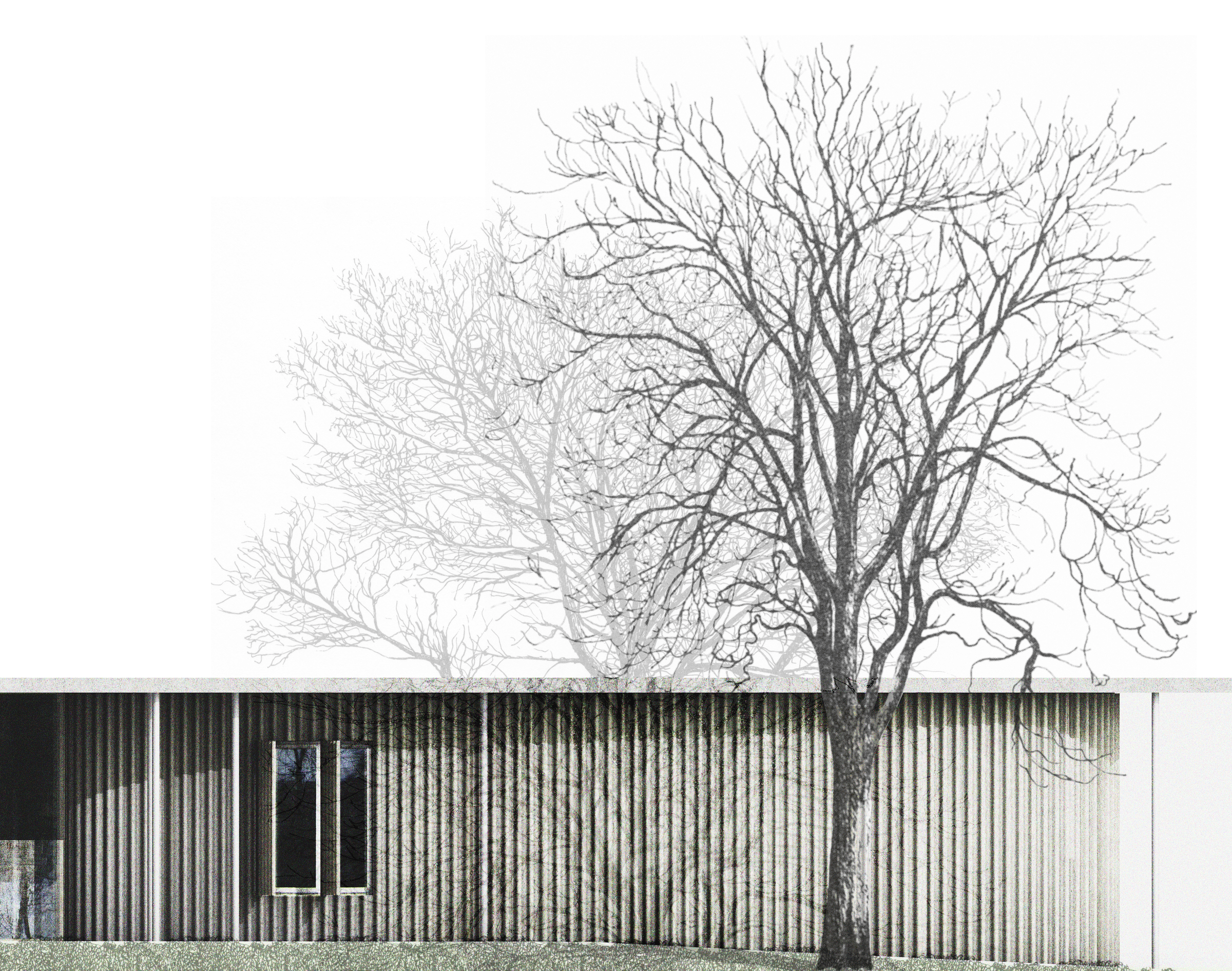 Fischereizentrum steinach vetterschmid ansicht