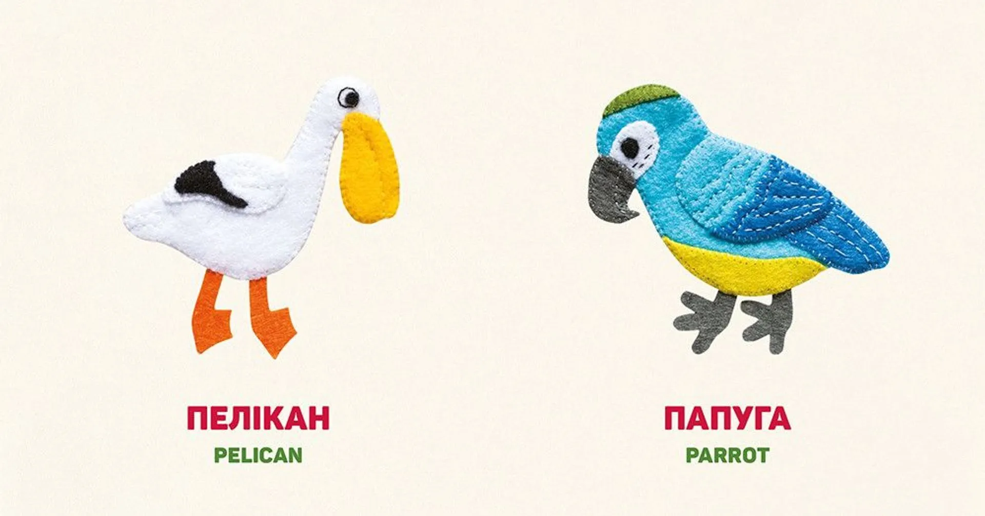 Птахи. Birds