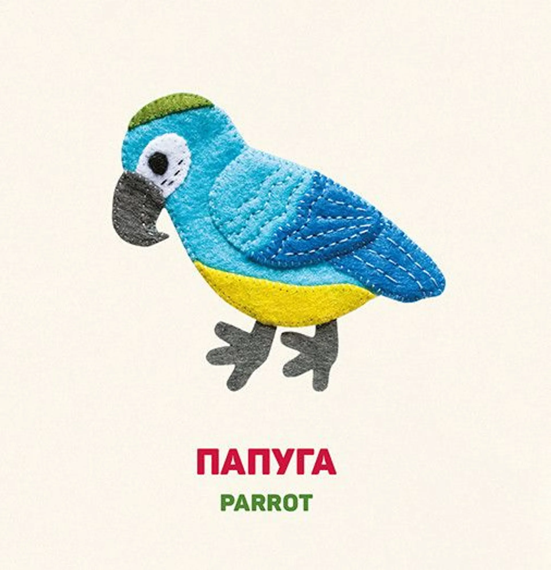 Птахи. Birds