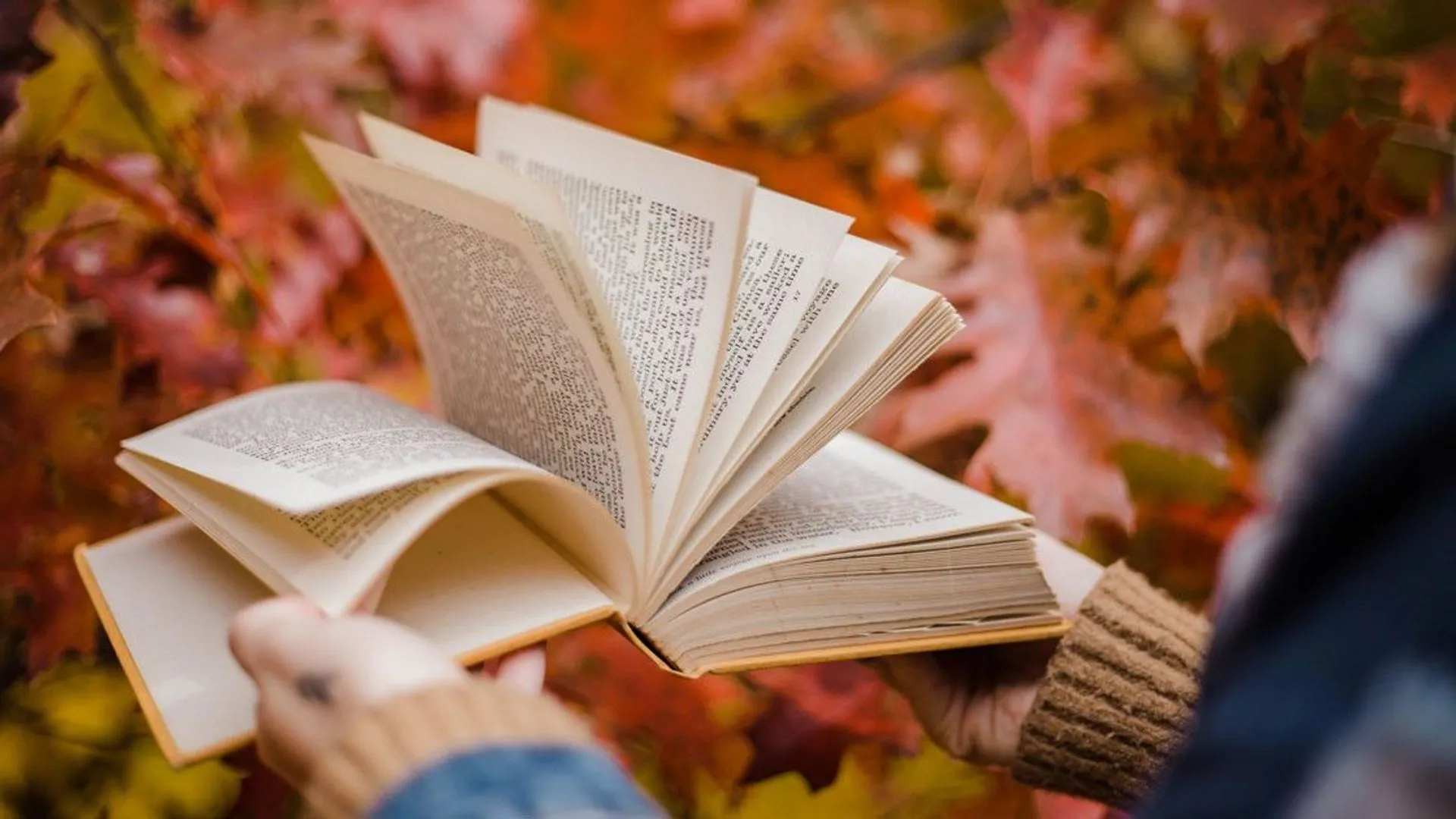 7 книг, з якими варто зустріти осінь