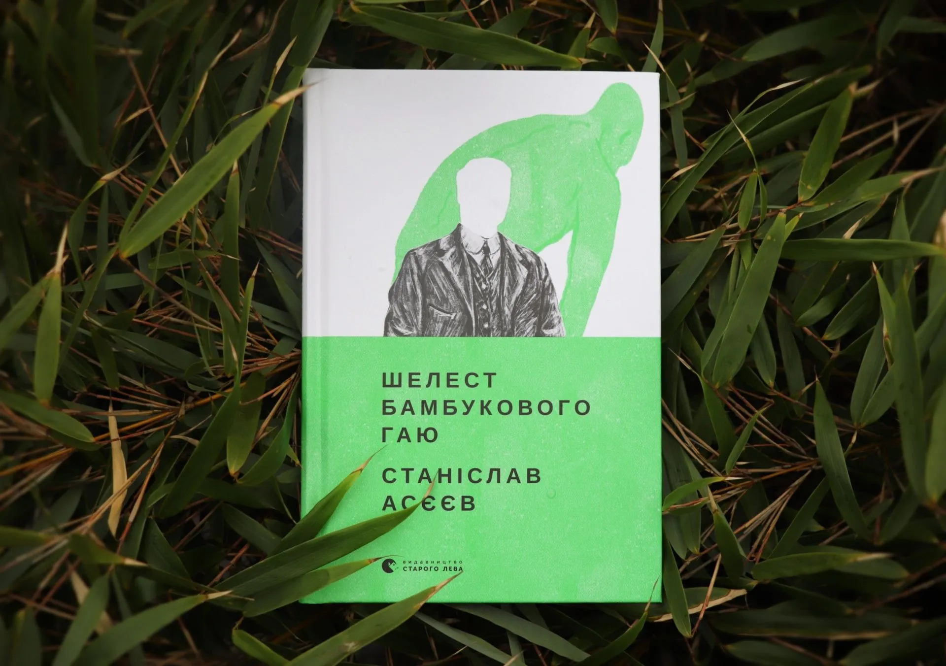 Збірка короткої прози від Станіслава Асєєва: зустрічаємо книгу «Шелест бамбукового гаю»