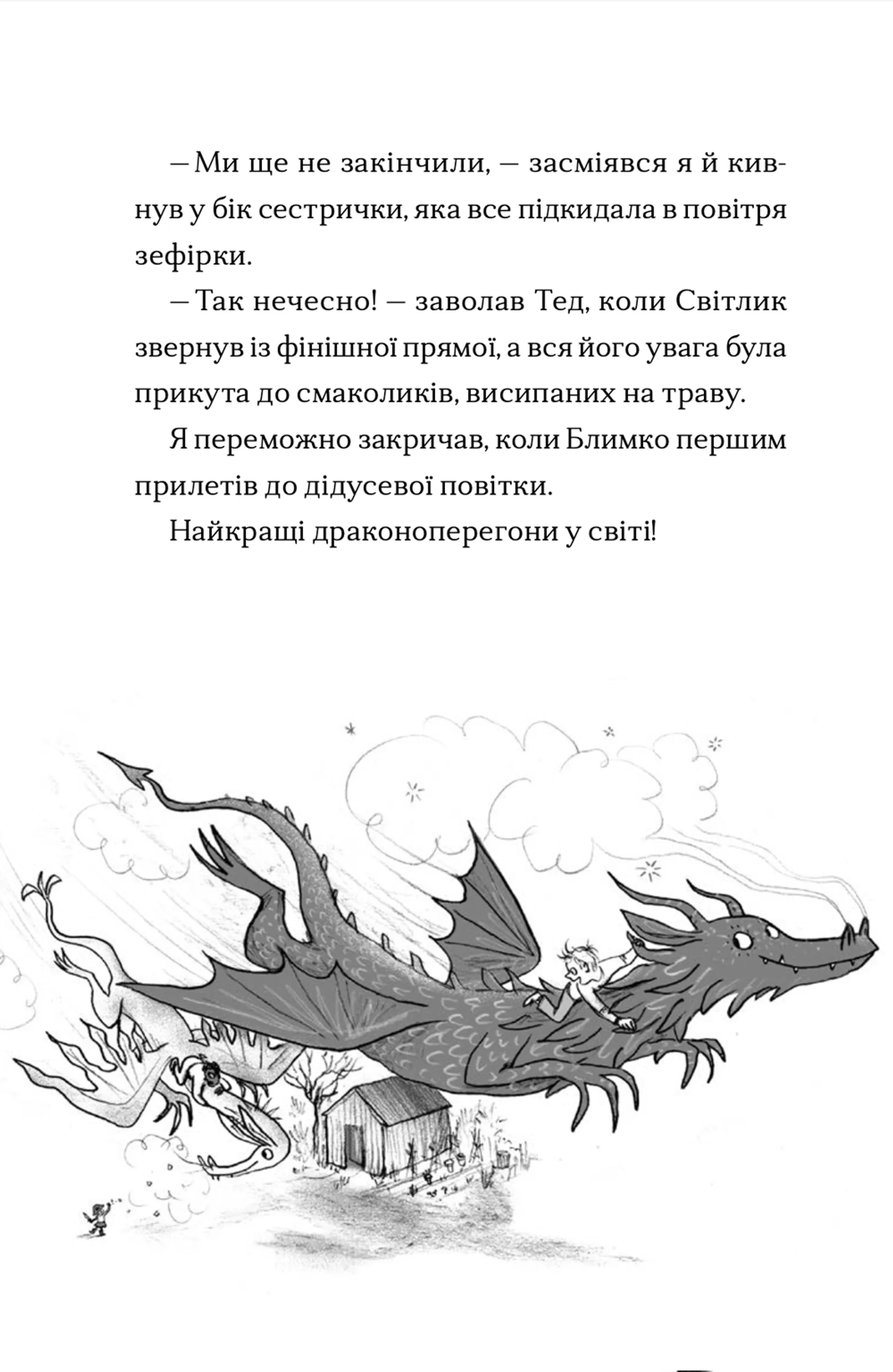 Хлопчик, який марив драконами. Книга 4