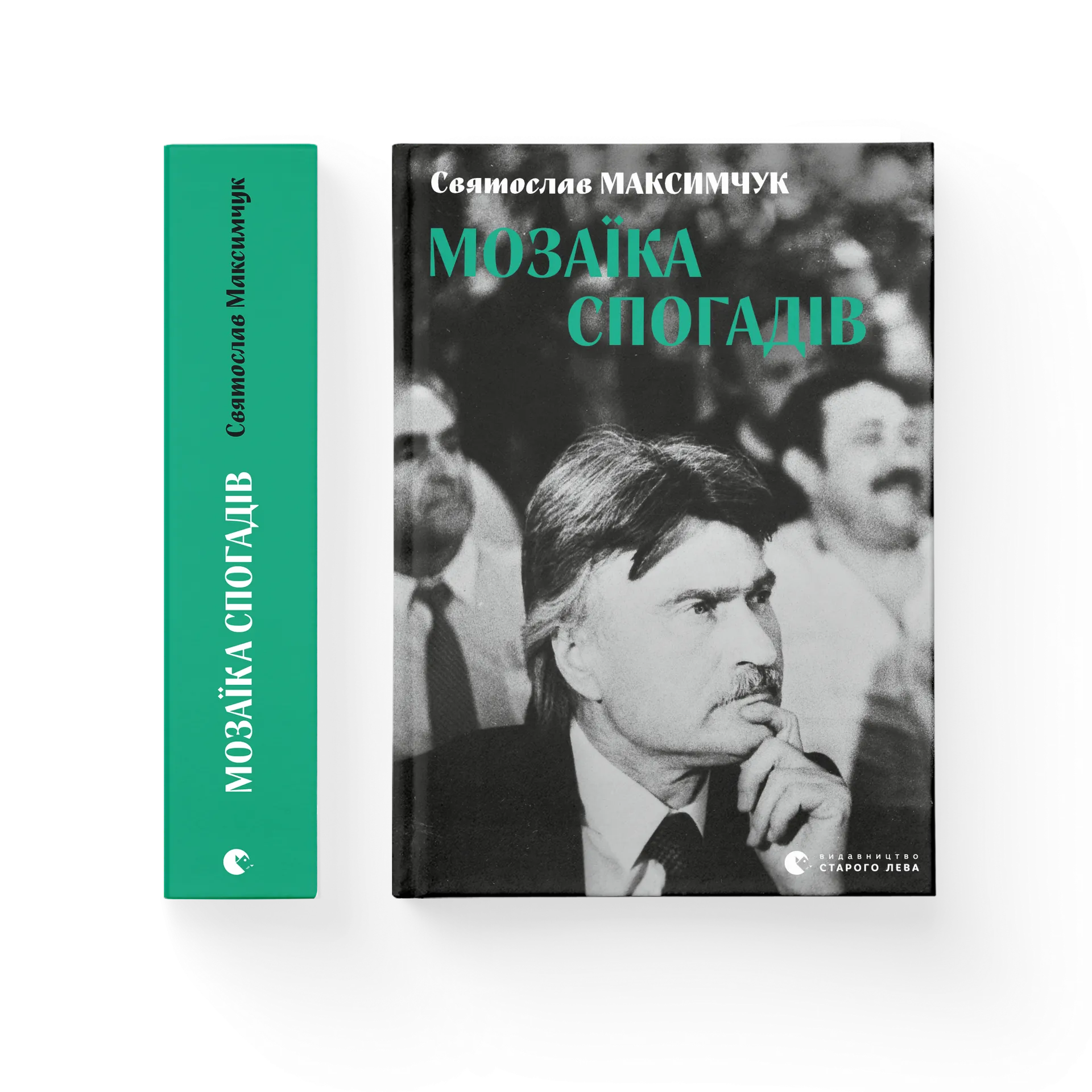 Дефект. Книга Мозаїка спогадів