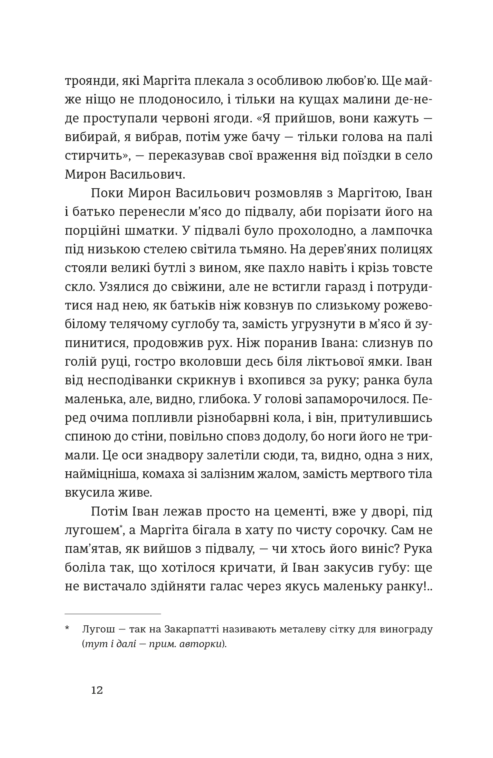 Іван і Феба (2025)