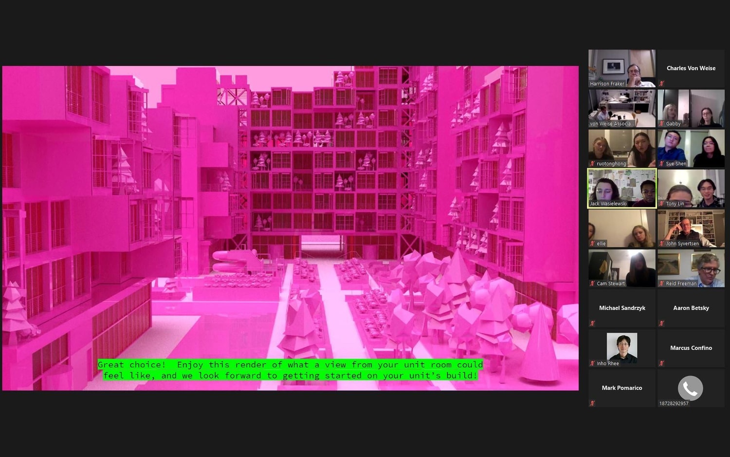 Final Review Zoom Call 02