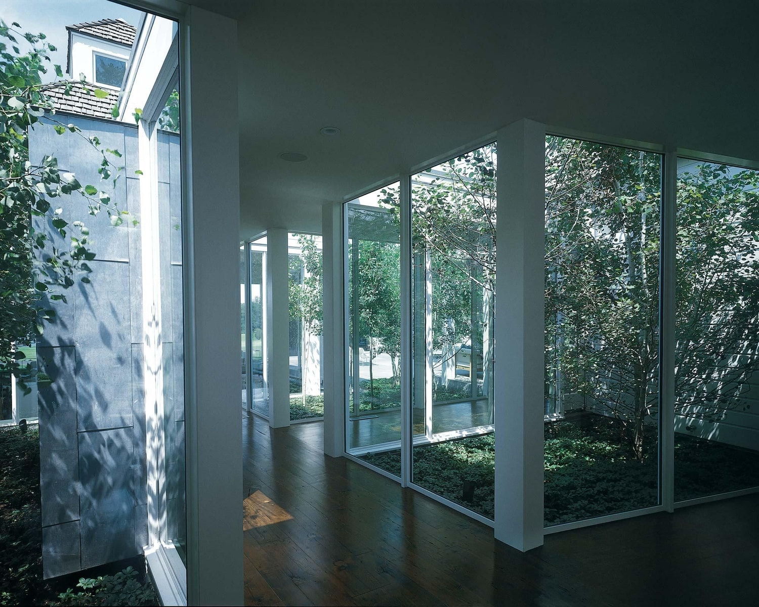 Montgomeryii Glass Pavilion