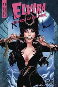 Elvira Mistress Of Dark #11 CVR C Royle