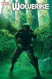 Marvel Poster Wolverine #1 By Alex Ross