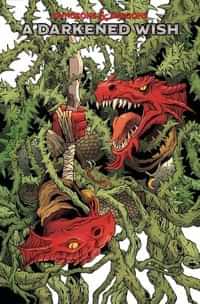 Dungeons and Dragons a Darkened Wish #3 CVR A Fowler
