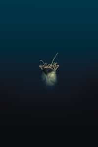 William Gibson Alien 3 #1 CVR A Christmas