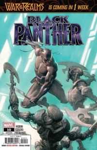 Black Panther #10
