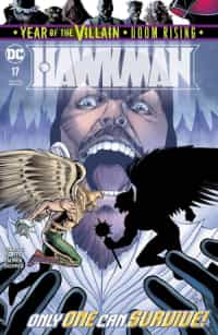 Hawkman #17 CVR A