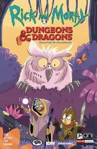 Rick and Morty Vs Dungeons and Dragons II #3 CVR B Allant