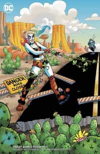 Harley Quinn and Poison Ivy #4 CVR B Card Stock Harley