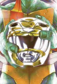 Power Rangers Teenage Mutant Ninja Turtles #2 CVR D Montes