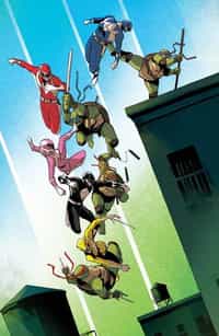 Power Rangers Teenage Mutant Ninja Turtles #3 CVR F Garbet