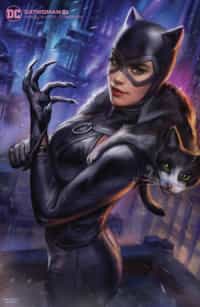 Catwoman #21 CVR B Ian Macdonald