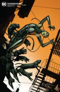 Catwoman #22 CVR B Card Stock J T Tedesco