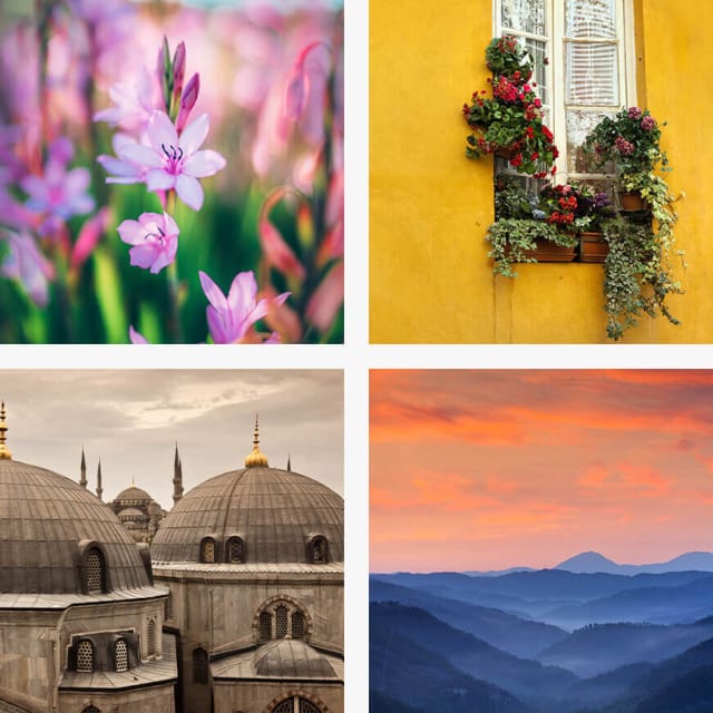 Choose a curated image