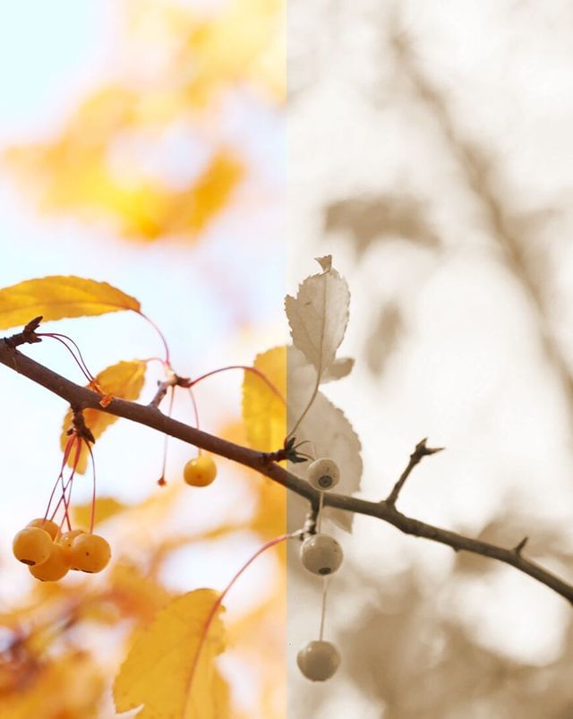 Customize your image