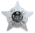 Visit Chicago Police Department Homepage