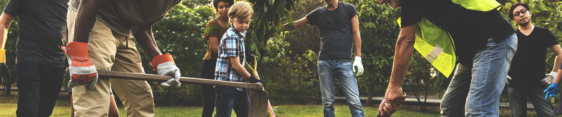 אנשים שותלים עץ