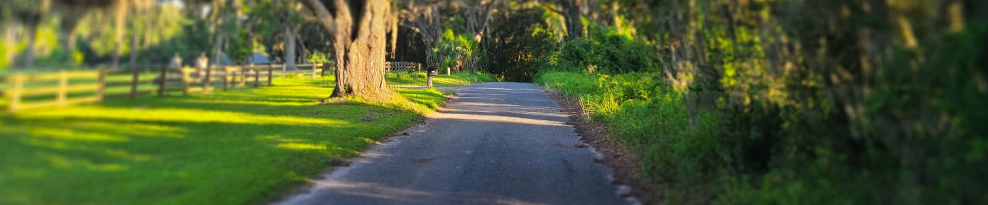 Old Bellamy Road North of County Road 236