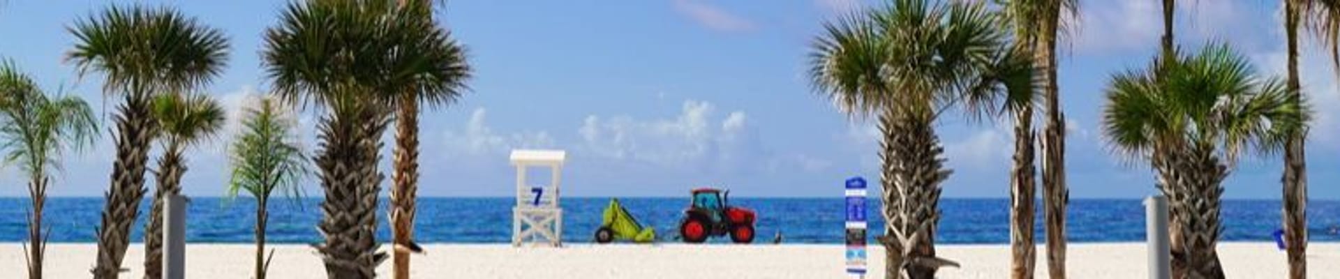 Picture of work on the beach