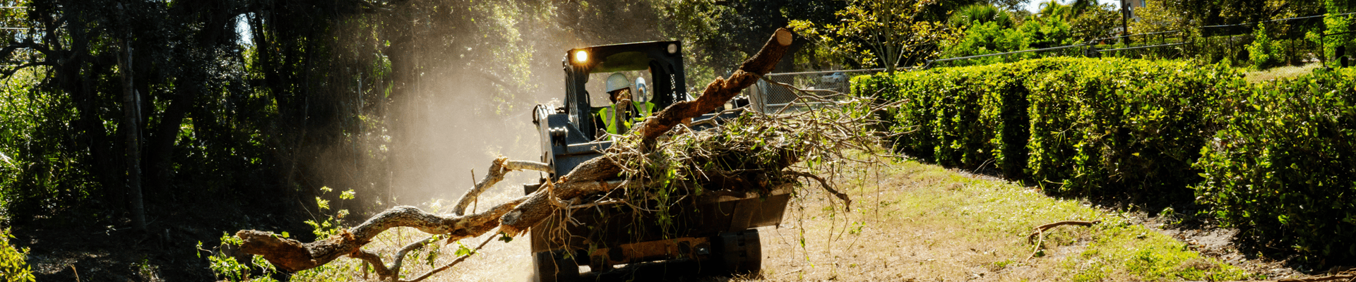 Channel Clearing Project