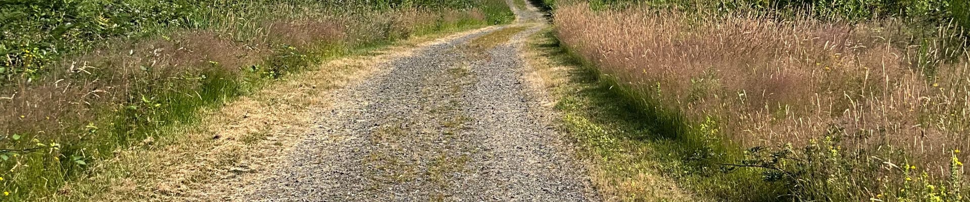 Bayview Trail in Lake Stevens, WA