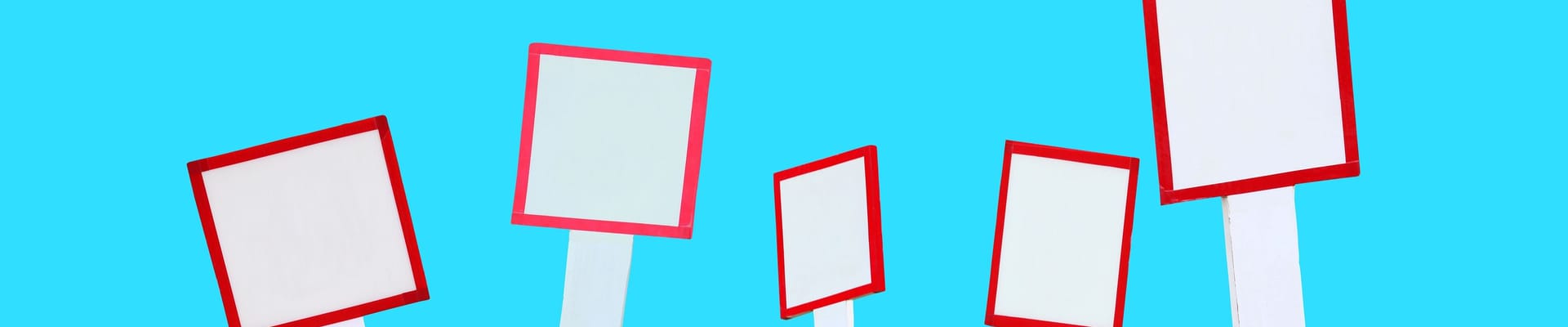 רגולציה ארגונית