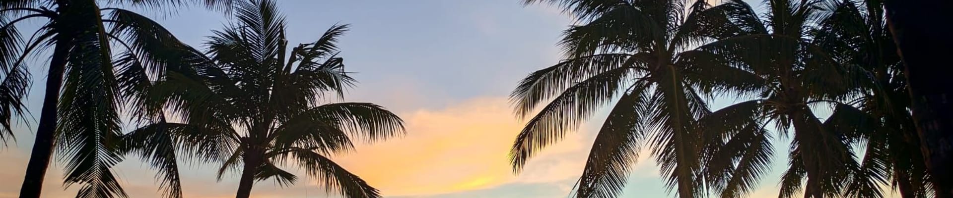 Did you Enjoy Boracay?