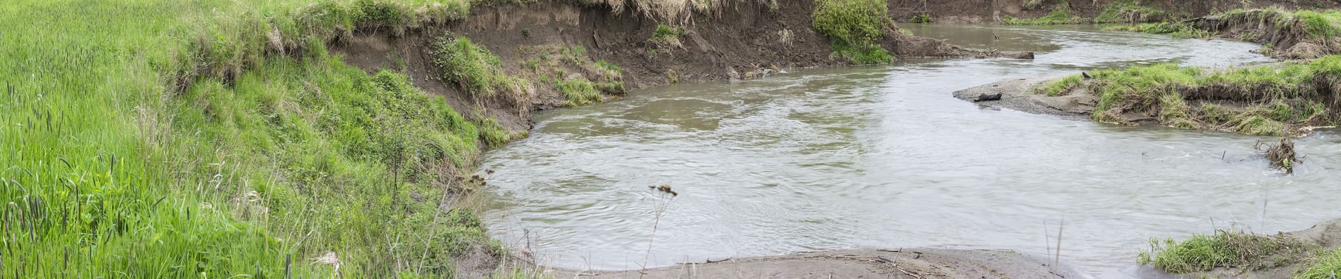 A stream in a grassy area