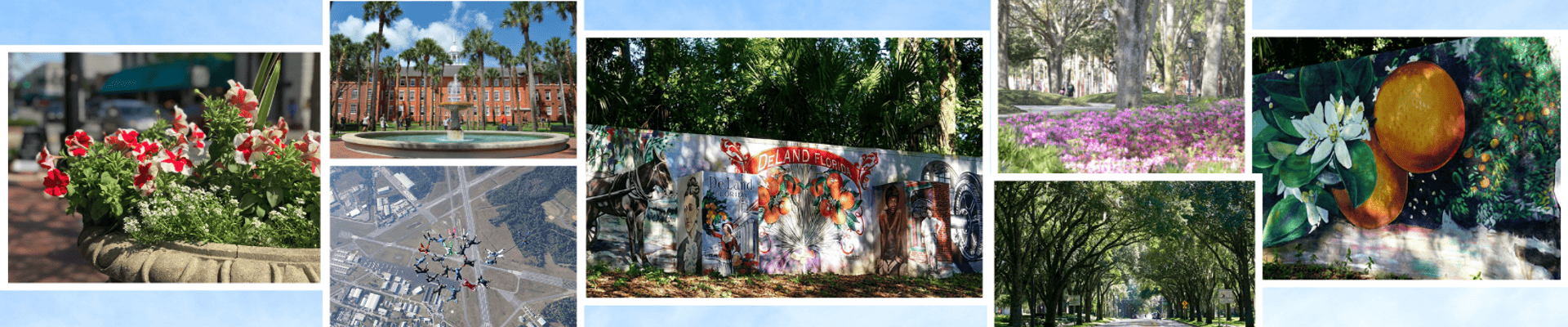 Vision Plan Header - college of photos