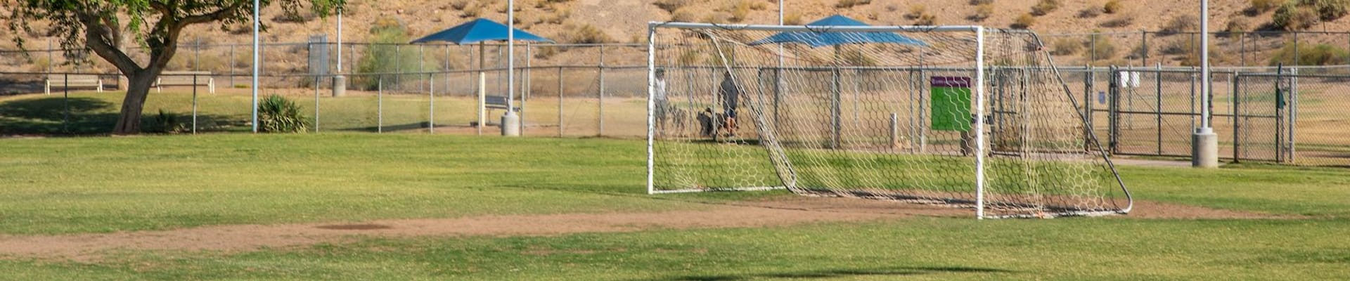 A grassy park with a soccer goal in the foreground, trees providing shade to the left, and a fenced area with small shade structures in the background.