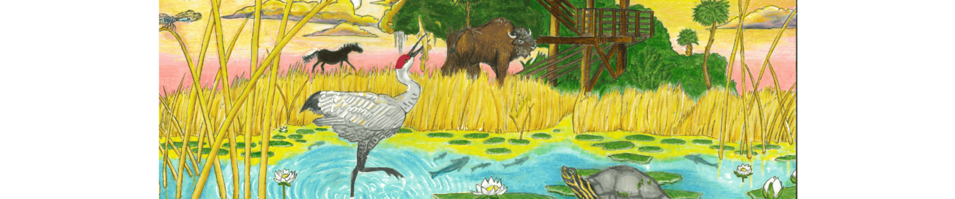 Animals in Paynes Prairie Drawing