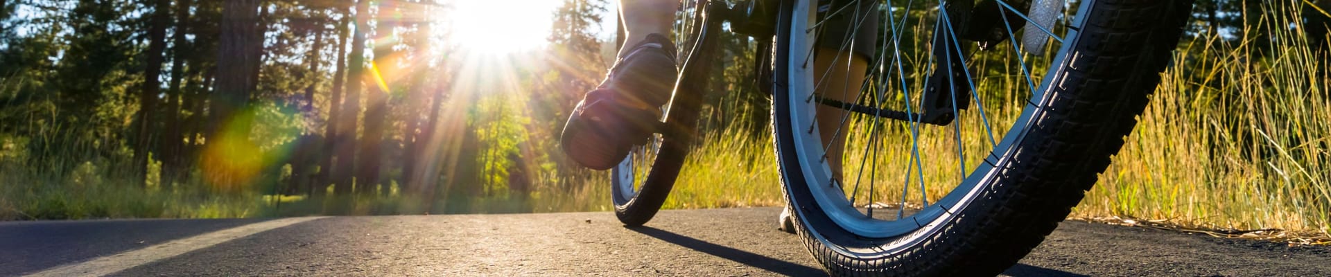 Closing the loop, Communications, Feedback, Community engagement, North Port