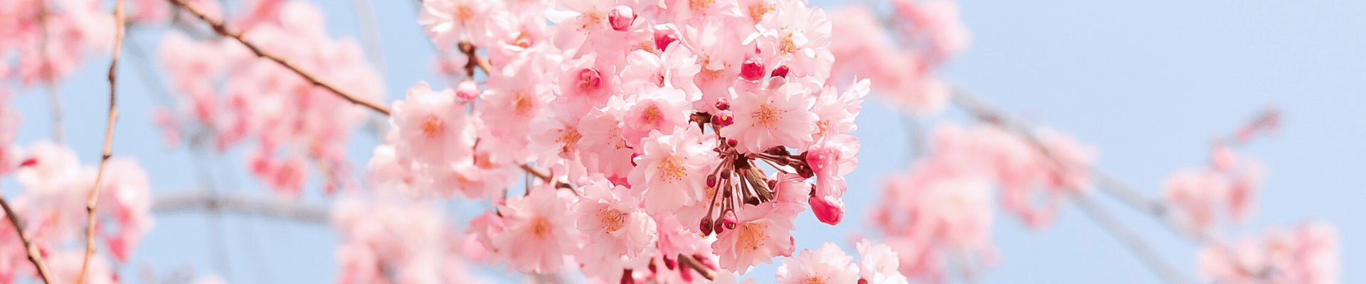 Columbia Park Renaming