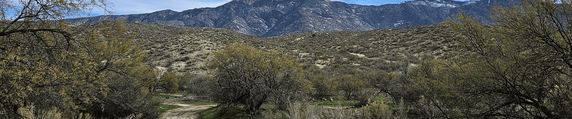Landscape of mountains along the skylines with fluffy clouds and desert vegetation