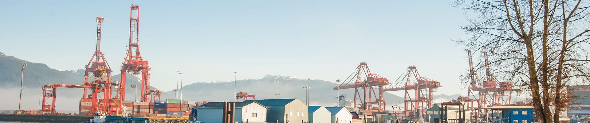CRAB park view of Centerm terminal