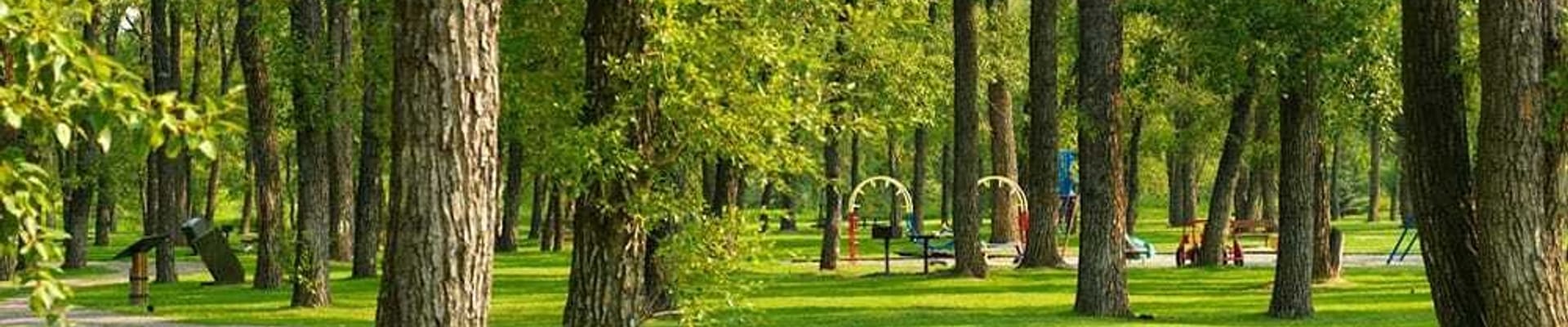 Parks and Recreation