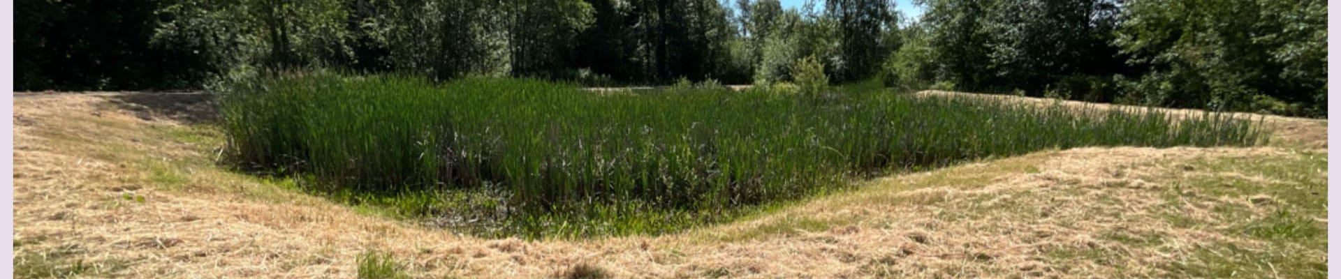 Private Stormwater Facility Page