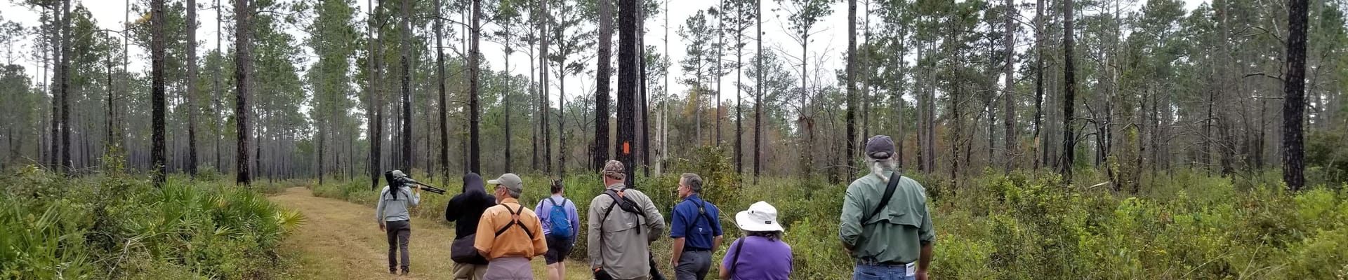 People walking on a trail
