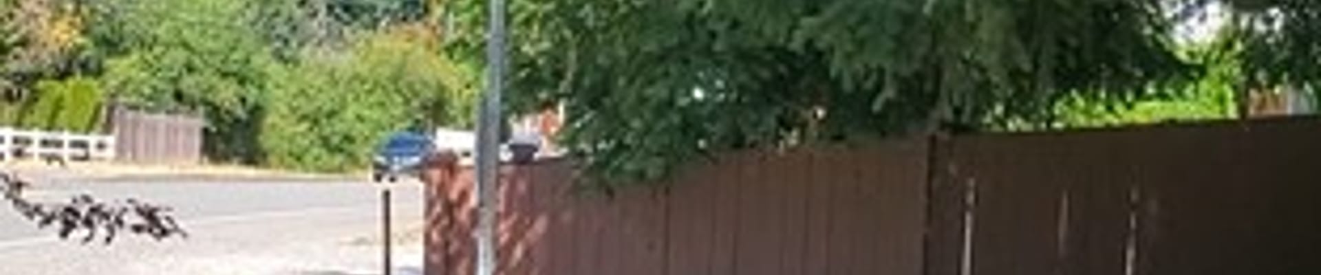 March 2024 Project Update