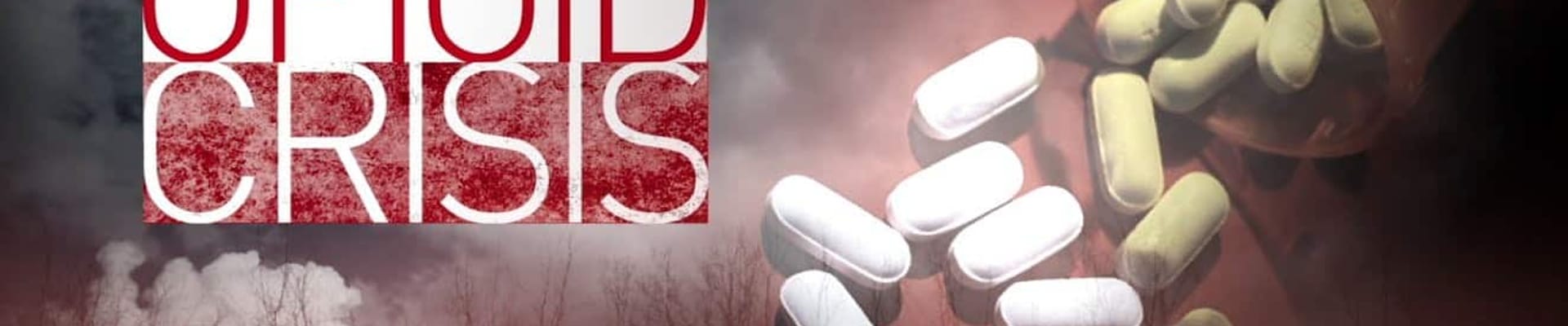 The Opioid Crisis