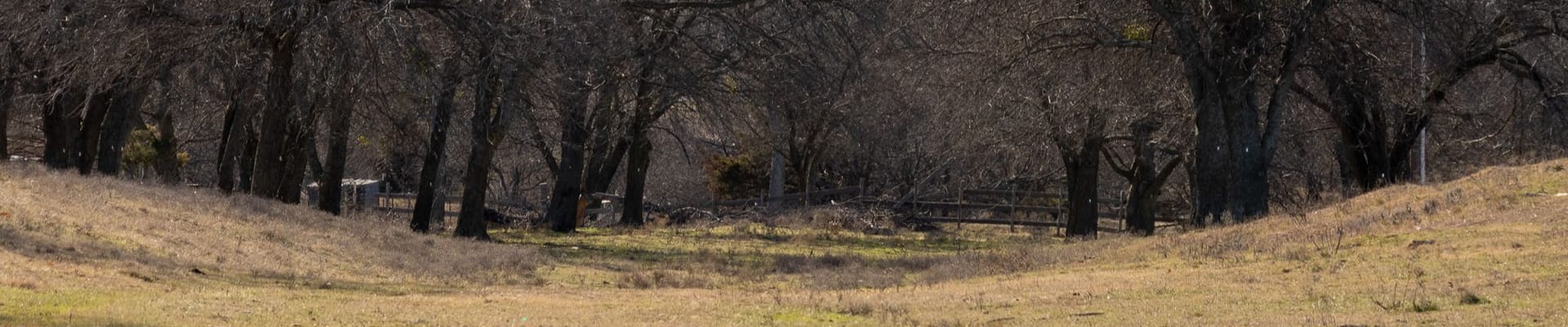 Land where construction is going to happen.