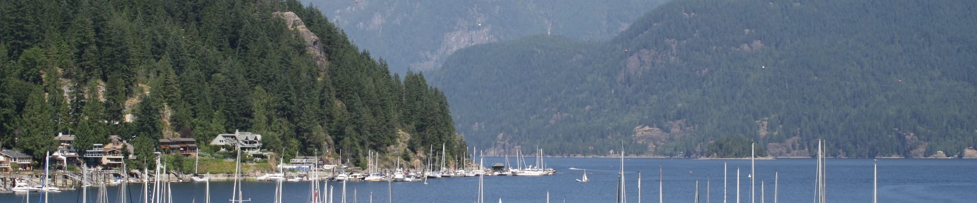 Deep Cove pedestrian pilot