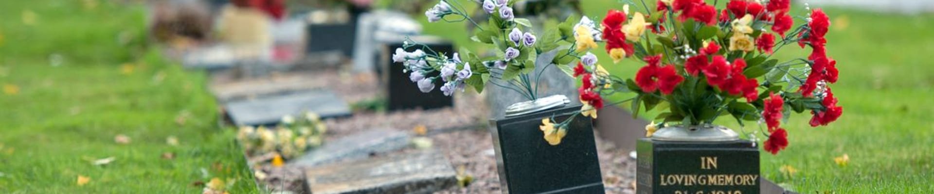 A picture of Allum Lane Cemetery